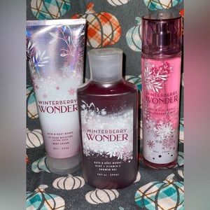 BBW Winterberry Wonder